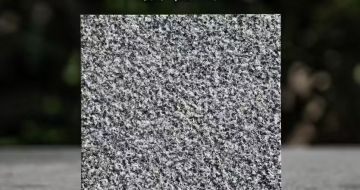 黄冈 芝麻黑荔枝面