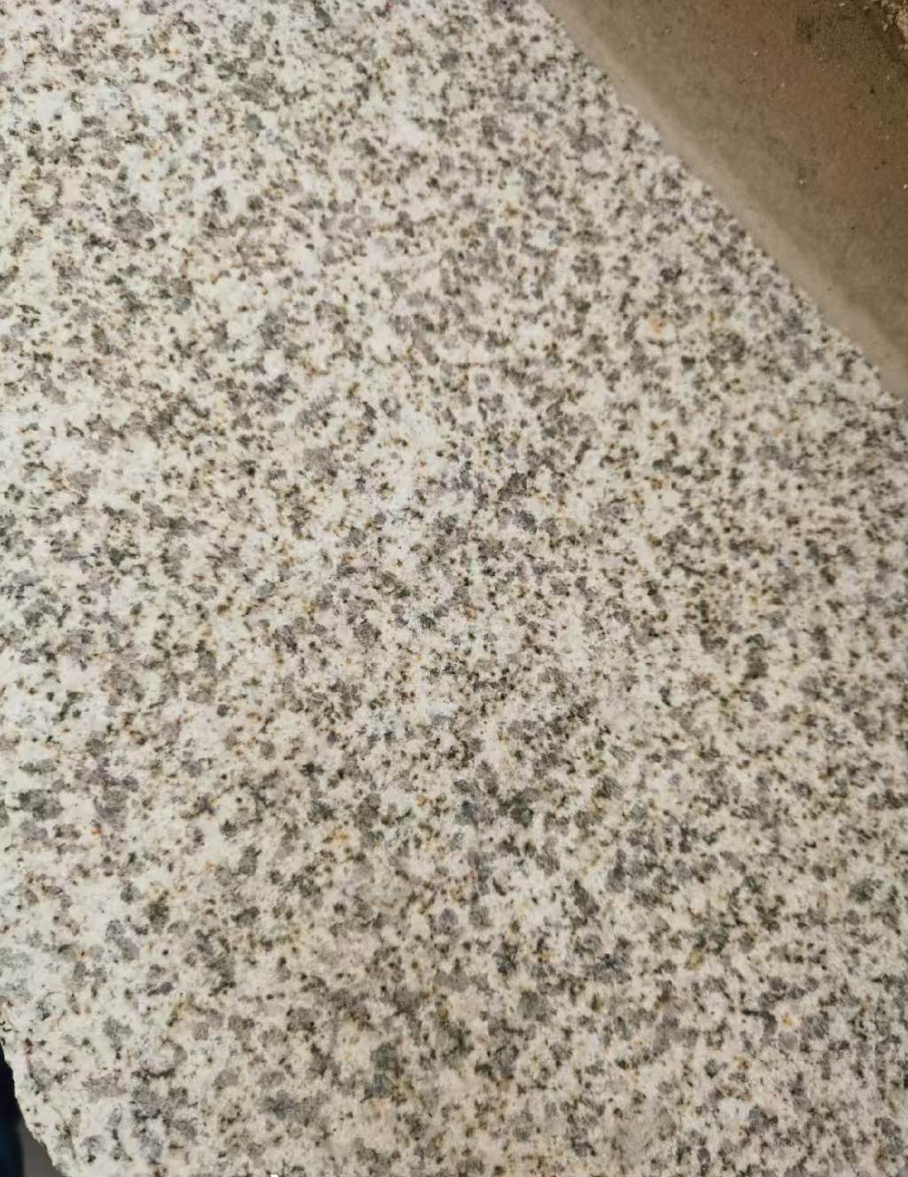 黄冈 黄金麻中黄光面