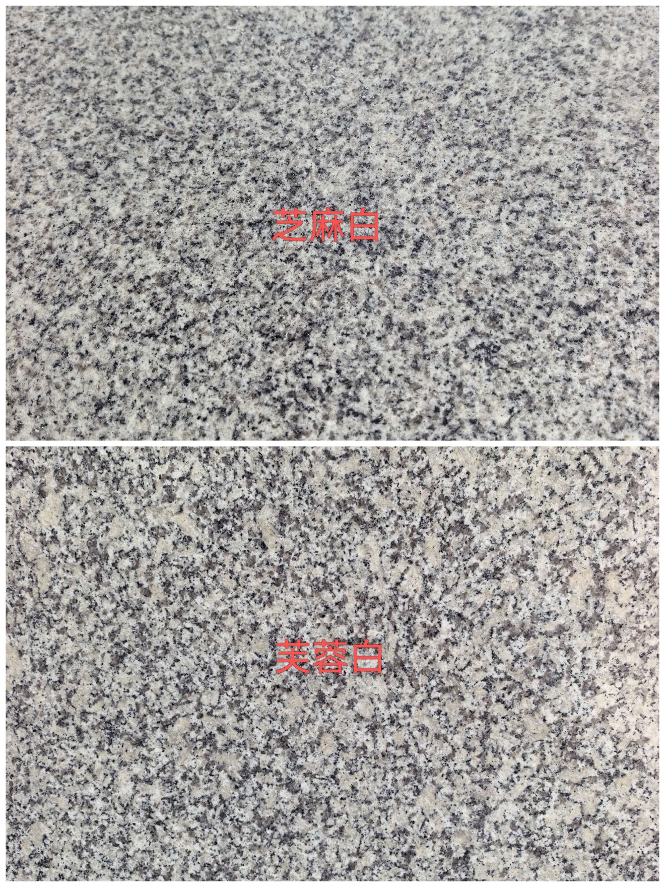 黄冈 芝麻白和芙蓉白的区别